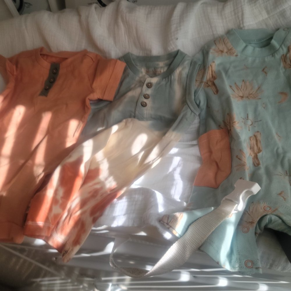 Burt's Bees 3-6 months 100% Organic Cotton rompers-set of 3